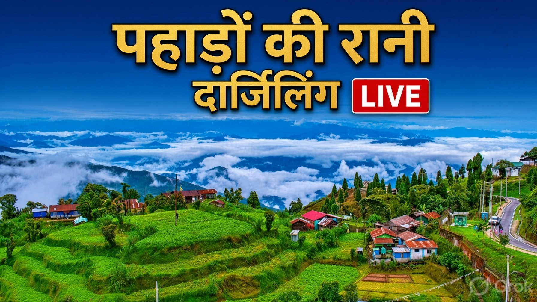 News Thumbnail